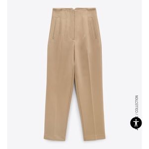 Zara High-Waisted Pants in Taupe Brown
